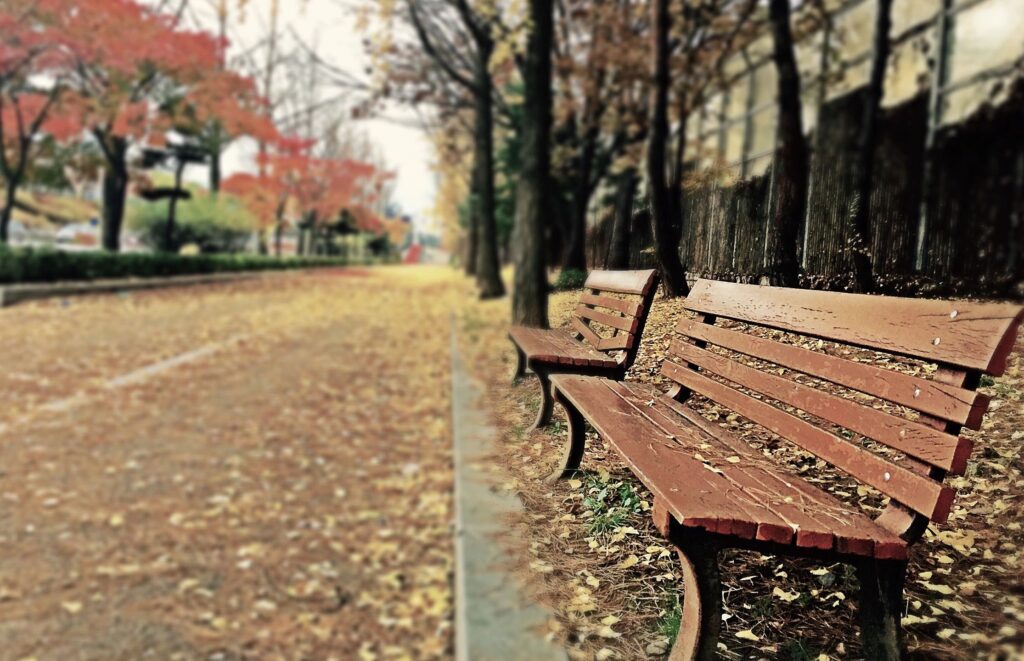 Benches in Autumn